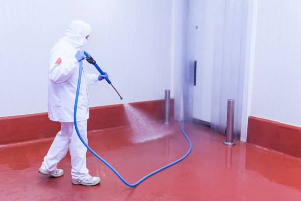Reliable West Islip, NY Pressure Washing Solutions